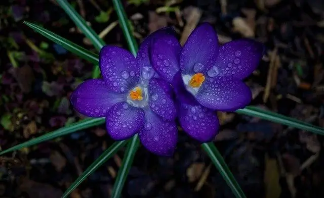 Эта вечная улыбка