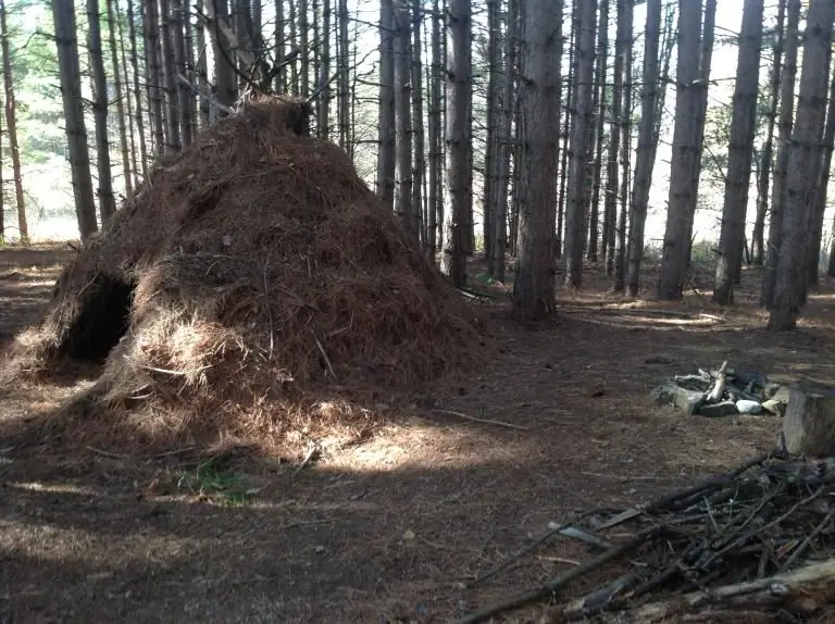 Тролль-лагерь2а