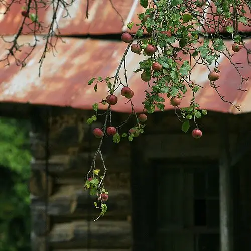 Лора Ингаллс Уайлдер и я