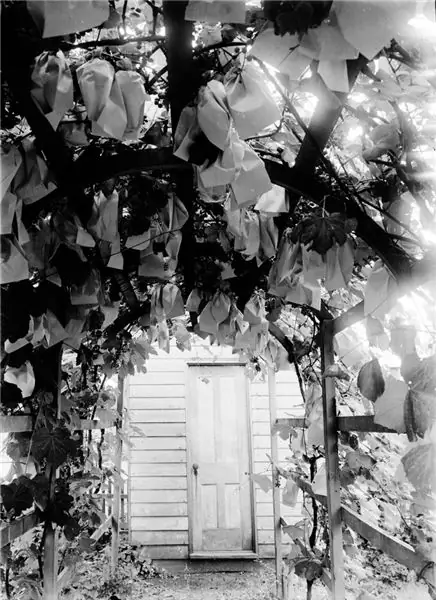 Поэзия пятница: «ты мой бог»