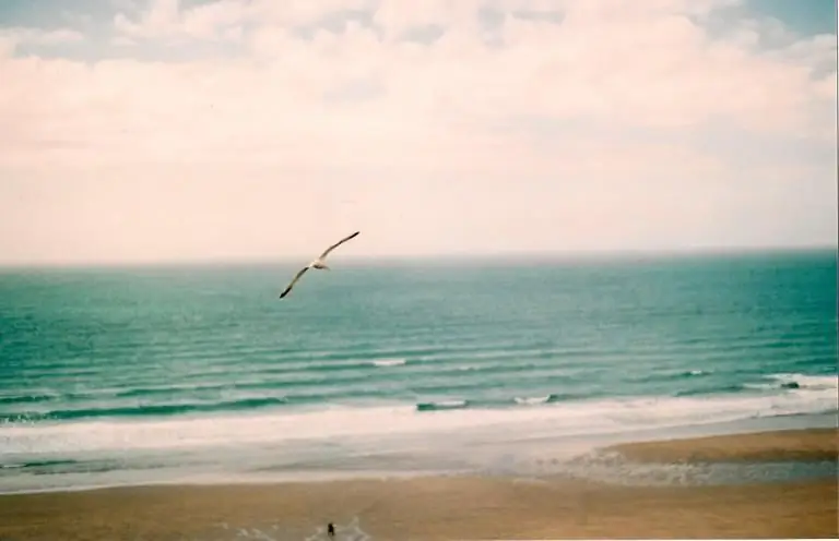 Поэзия Пятница: «Годы были терпеливы со мной»