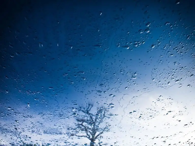 Поэтическая пятница: «Блудный сын»