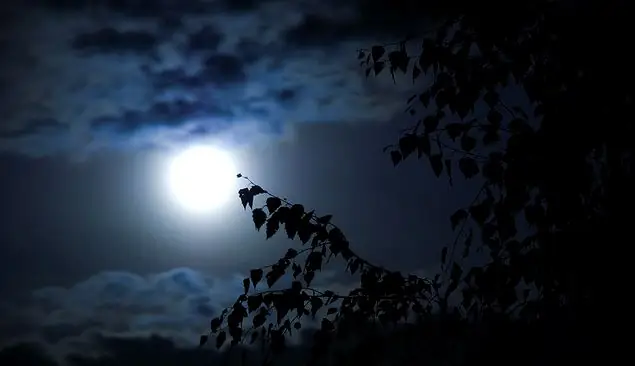 Что тебя убивает, делает тебя сильнее: Темная ночь в «Конце романа»