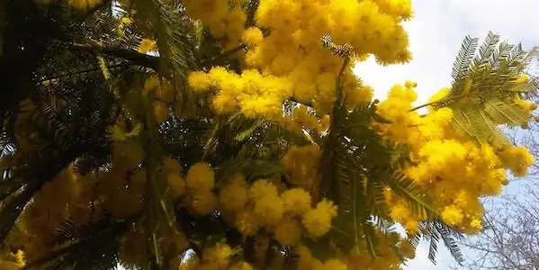 4 вещи, которые вы должны знать о Международном женском дне