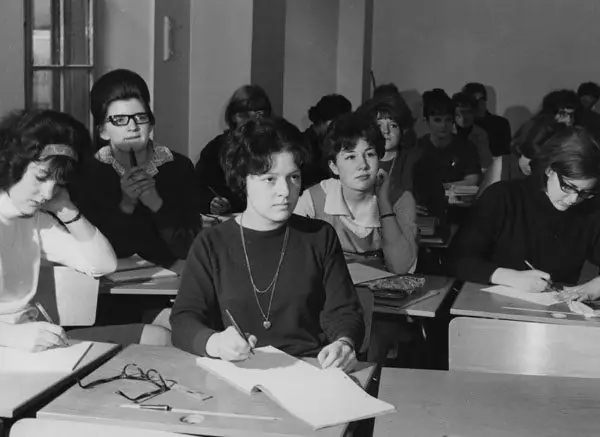 Если история Китти Дженовезе не соответствует действительности, вся моя степень бакалавра построена на песке