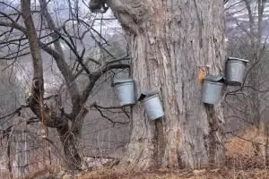 Things Keeping Us Going: первая неделя весеннего выпуска