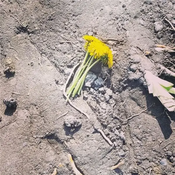 Как мы говорим о смерти