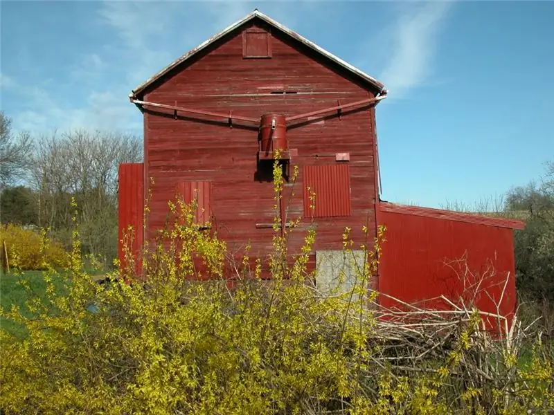 Хорошее местное и плохое местное: точка зрения эко-производителя