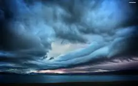 Красота и печаль