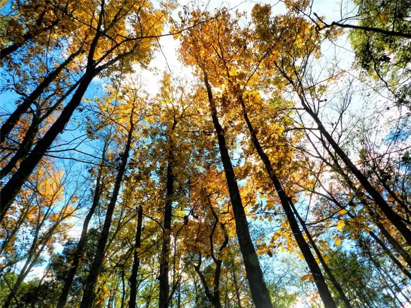 ДА, ДА И ДА! GraceofYesDay - отличная идея