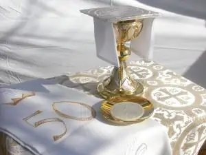 чаша паттен и хозяин