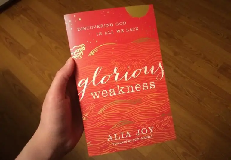 Рецензия на книгу: Славная слабость