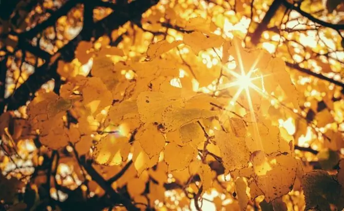 Письмо умирающему верующему