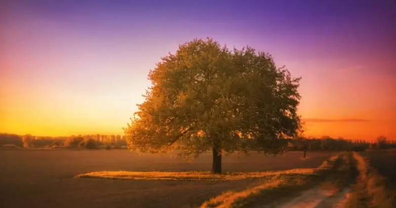 А. В. Тозер о том, насколько серьезной ошибкой является приравнивание любви к Богу