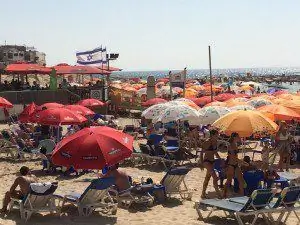 Кредит фотографии: Роберт Коэн