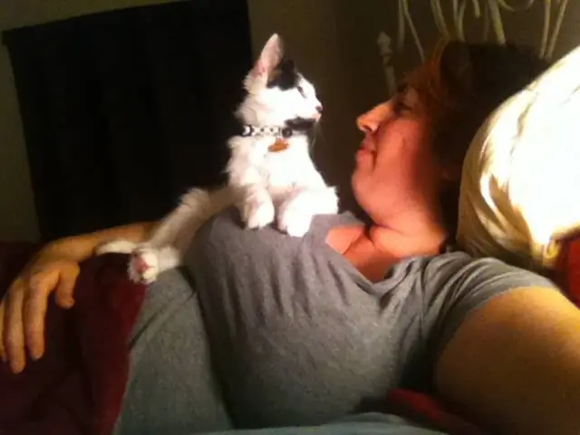 T Минус 18 дней