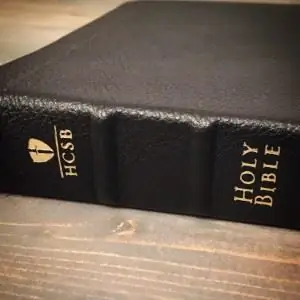 HCSB рис