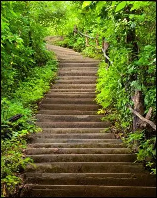 Что такое вера? [Вставьте свой ответ здесь]