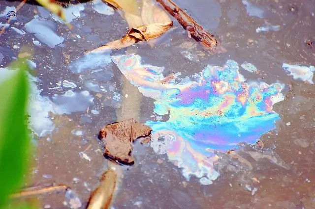 Исцеление дома, который мы разносим: размышления о Лаудато Си Папы Франциска