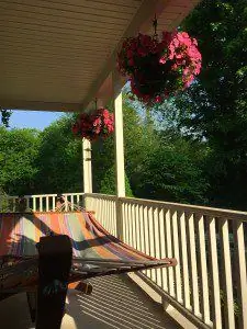 Вид с моего рокера на запад. Взгляните на новый рельс в его окрестностях. У меня на этой кормушке регулярно водятся желтые зяблики, орлики и кардиналы