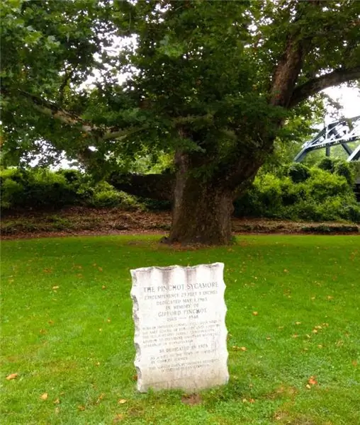 Жизнь в метафоре