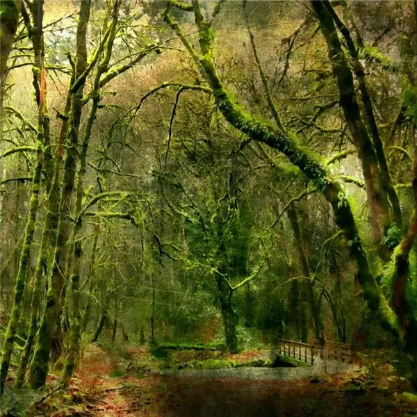 Эльфийский хлеб, английский аскетизм и домашний фактор