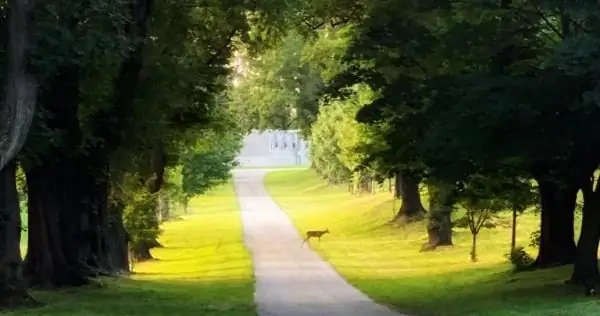 Мир, которого мы не ищем - Взращивание славы