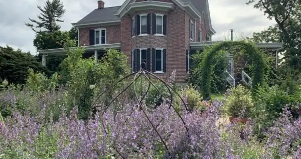 В поисках славы - взращивание славы