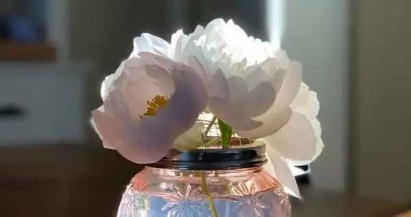 Высокая цена жизни в спешке - взращивание славы