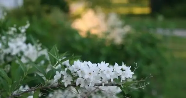 Практикуем весну, пока еще зима - взращиваем славу