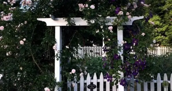 Практика вычитания (в мире, который любит складывать) - взращивание славы