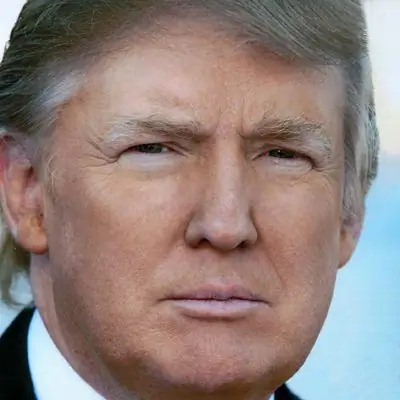 Дональд ТрампХедшот Дональд ТрампХедшот