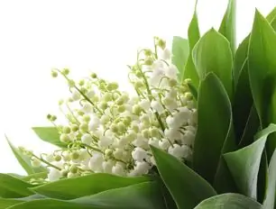 Молитва в день воскресения