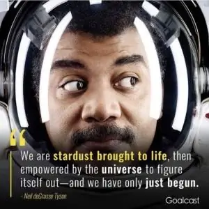 Звездная пыль воплотилась в жизнь