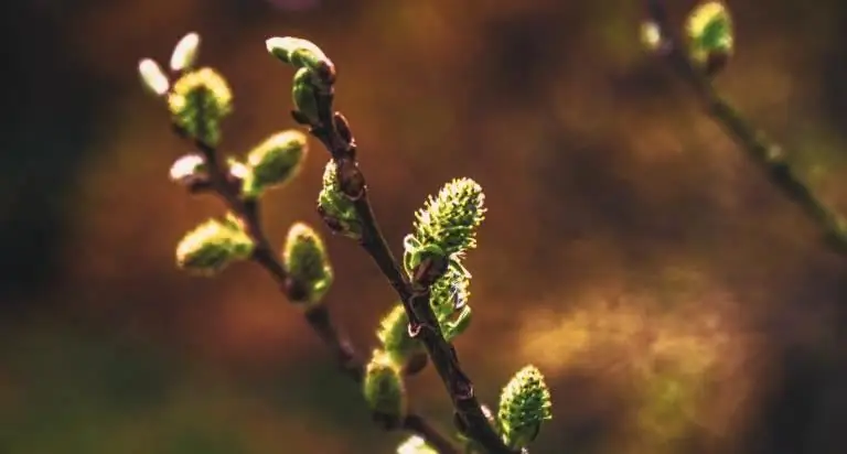 Восприятие Пасхи как универсальной истории