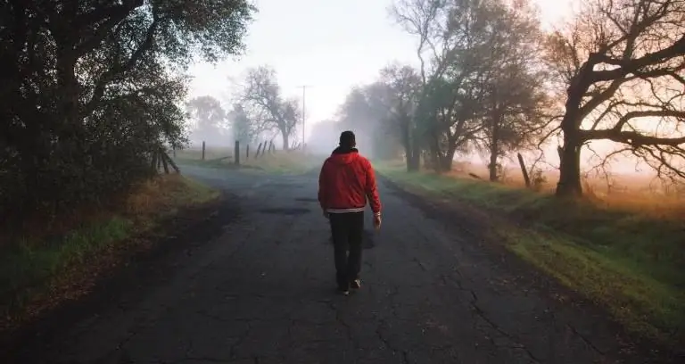 Мудрость на распутье