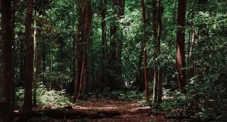 Вы в центре этого?