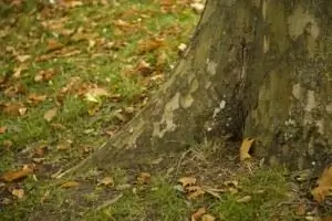 пейзаж-992330_340