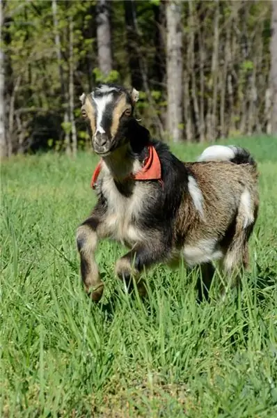 Красивее, чем раздел комментариев