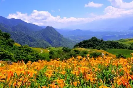 Невозмутим их дух