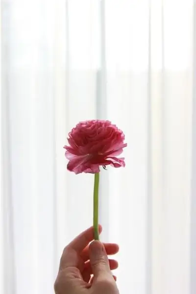 Beyond Pink Carnations: почему я не отмечаю День матери в церкви