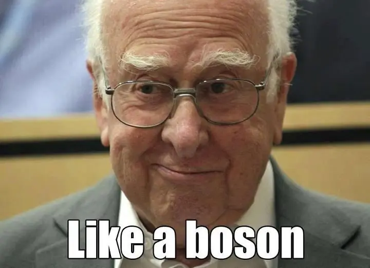 Миссионер, как бозон! или Физика: что мы можем узнать из открытия Хиггса?