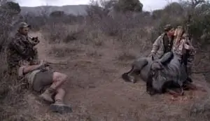 Mabula Pro Safaris, Южная Африка, август 2015 г.: Международные клиенты позируют для своего трофея после охоты на гну на охотничьем ранчо Mabula Pro Safaris Mabula Pro Safaris, Южная Африка, август 2015 г.: Международные клиенты позируют для своего трофея после охоты на гну на охотничьем ранчо Mabula Pro Safaris