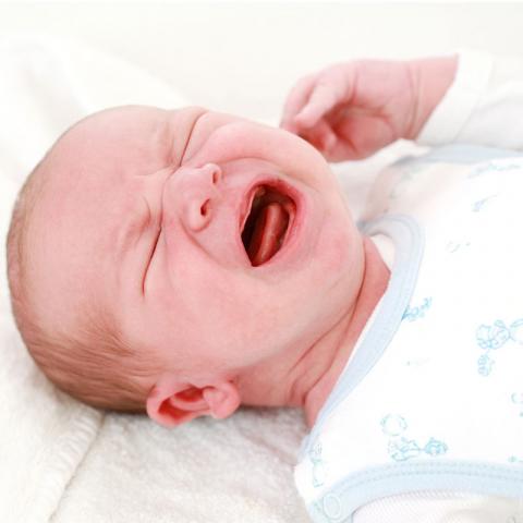 Если бы мой ребенок мог говорить