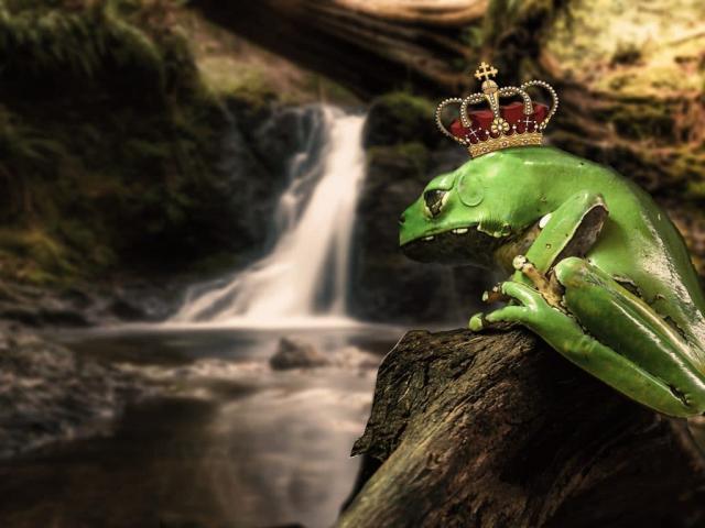 Эта мама постоянно прерывается своим ребенком и подводит итог жизни с малышами