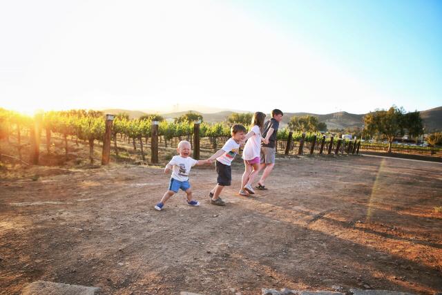 Baby Rabies " Джилл Краузе взвешивает, что не сказать беременной женщине