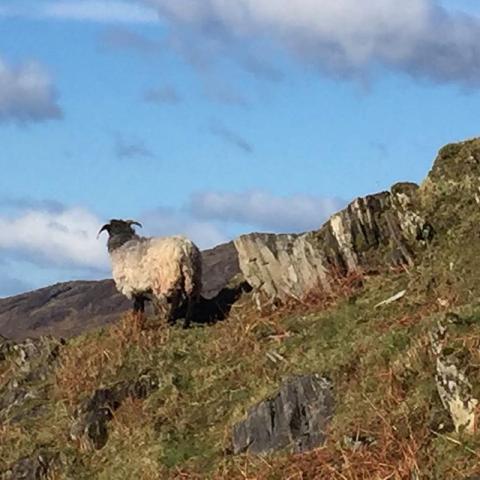 Почему я сегодня обнимаю своего 2-летнего немного крепче