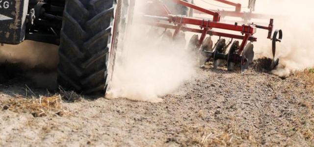 У среднего 6-летнего есть мобильный телефон в этой стране