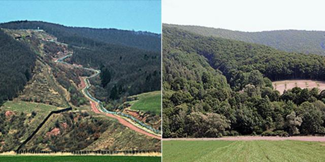 Что случилось с обучением детей манерам и уважению?