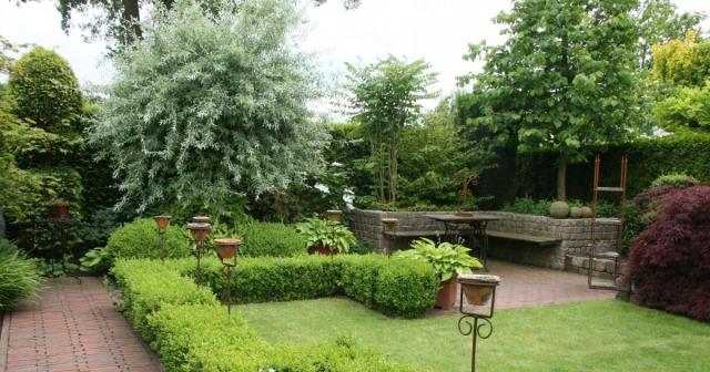 Пара превращает объявление о беременности в мини-фильм ужасов